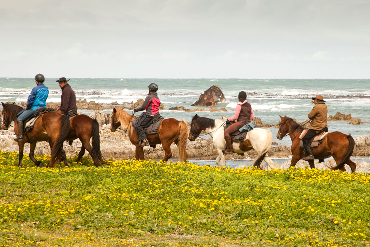 African Horse Company - Cabalgar en la playa