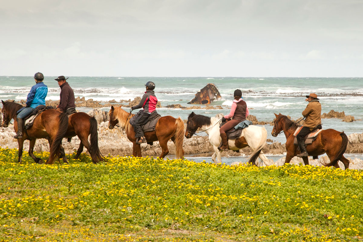 African Horse Company - Rouler sur la plage