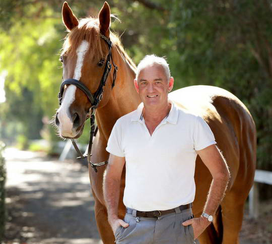 Entrenador de caballos como se llama