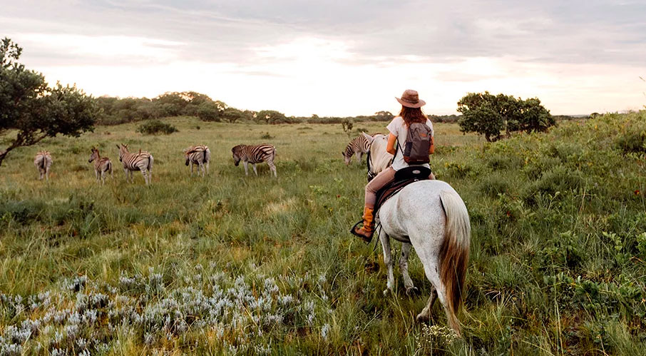 Bhangazi Horse Safaris