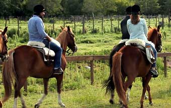 Horse riding benefits