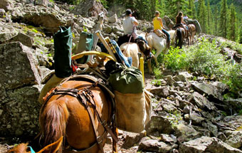 Horseback adventure with your family in Colorado