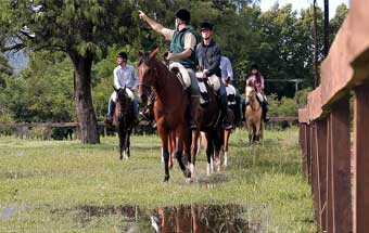 Tips for your horse riding holidays