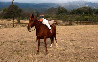 ¿Cómo se cría y entrena caballos en Ampascachi?