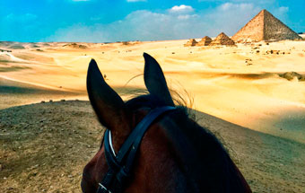 Horse riding tours in Egypt