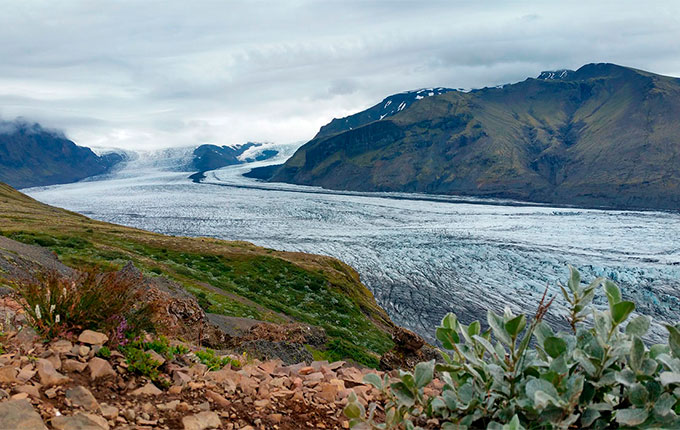 l’Islande à cheval