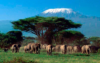 Turismo ecuestre en Kenia