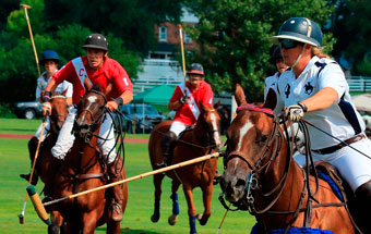 >Equestrian sport: Polo