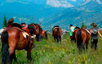 Reiten in Rumänien