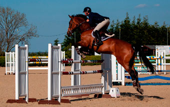 HORSE JUMPING SHOW: Cavalos de Salto em COQUINHOS