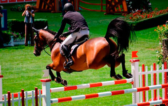 10 Topics to learn about Show Jumping – Part I