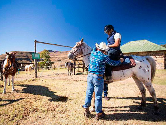 Bokpoort Cowboy Ranch