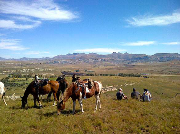 Bokpoort Horse Tour