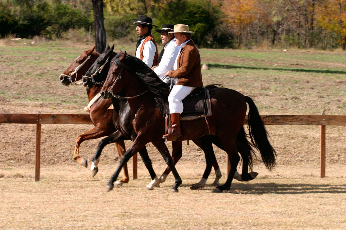 Peruanische Paso-Pferdezüchter