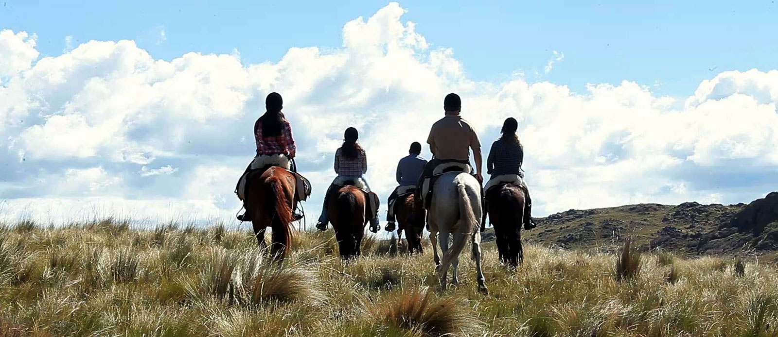 The best horse for equestrian tourism