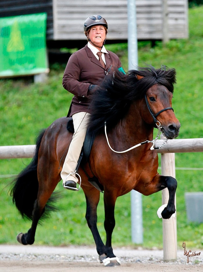 Eve Barmettler on su caballo Fengur