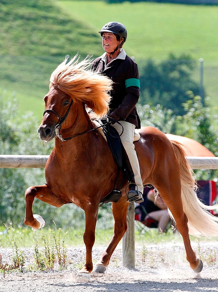 Eve Barmettler on su caballo Oktan