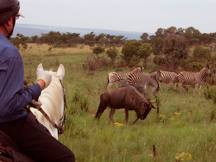 Colin´s Horseback África