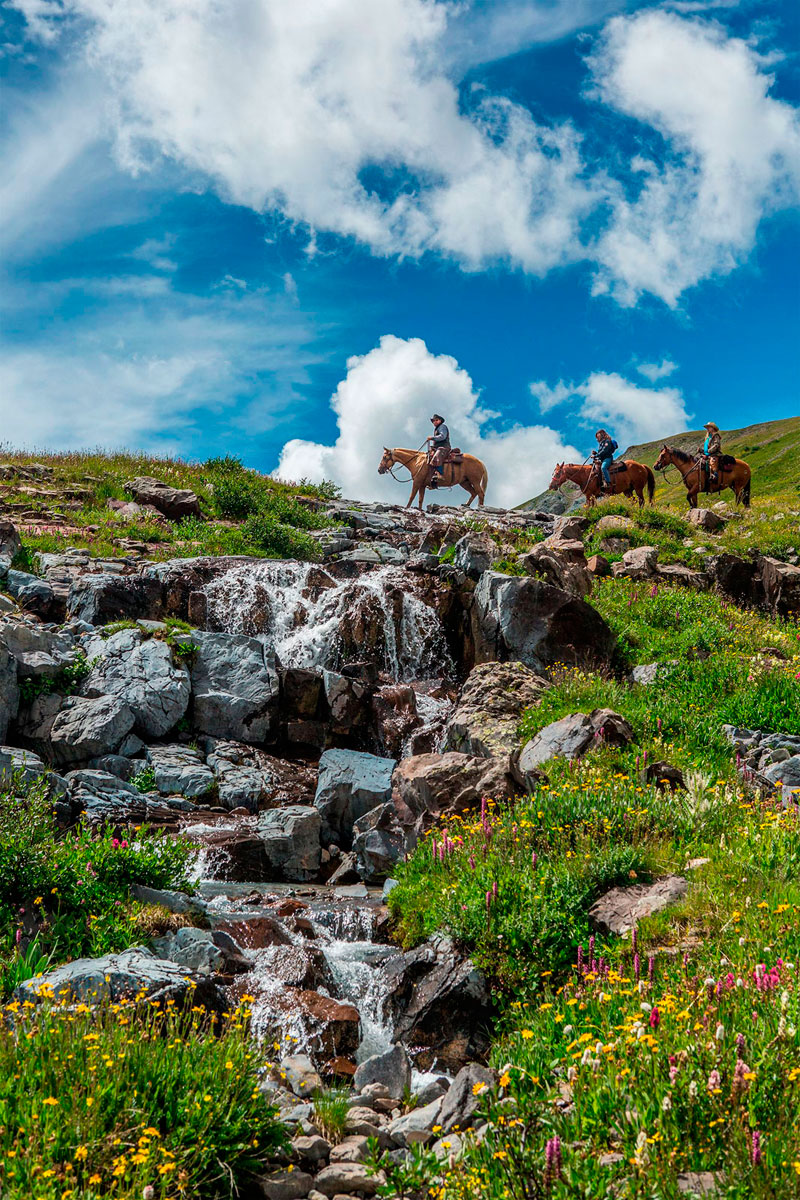 Reiten in Buckardoo