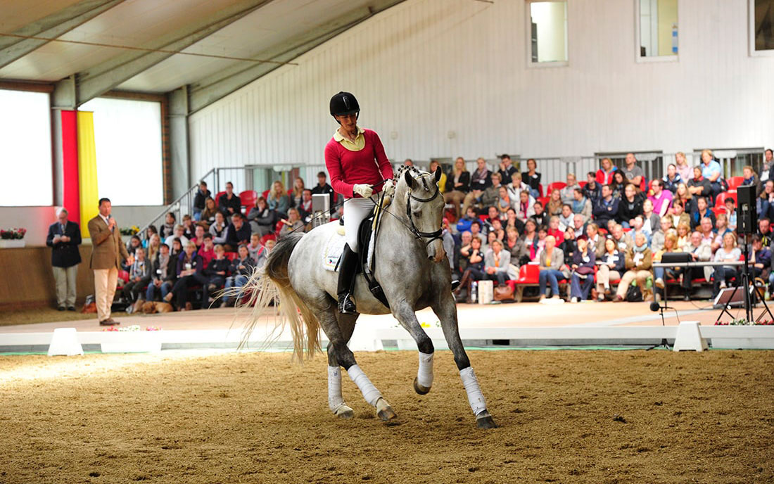 Equestrian events