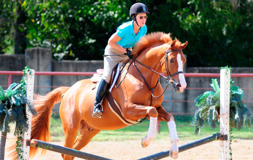 Melanie, world equestrian champion