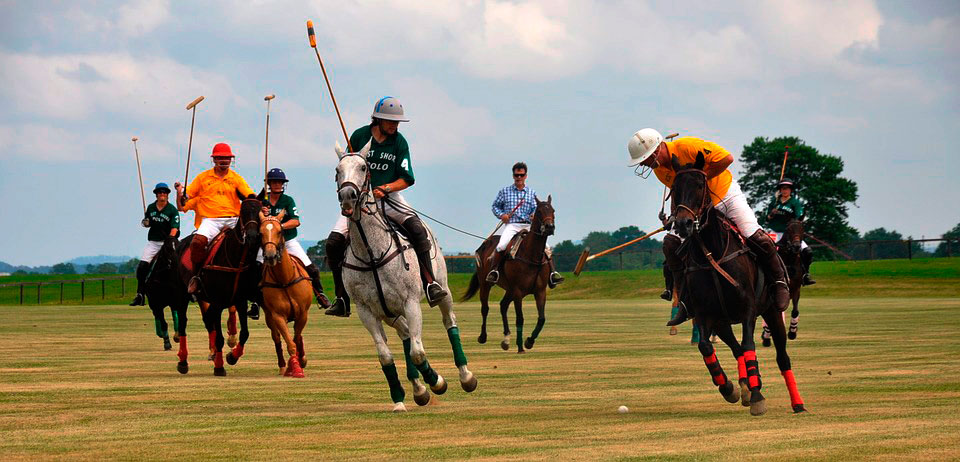 Equestrian Sport - Polo