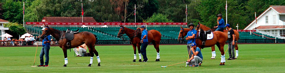 Equipment to play Polo