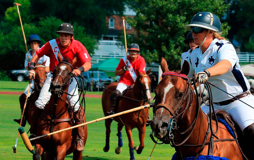 Incidente, evento Que claridad Juegos y Deportes Ecuestres: El Polo | Ampascachi
