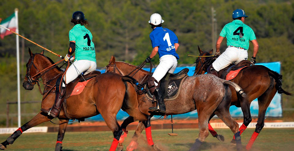 Basic Rules to Play Polo