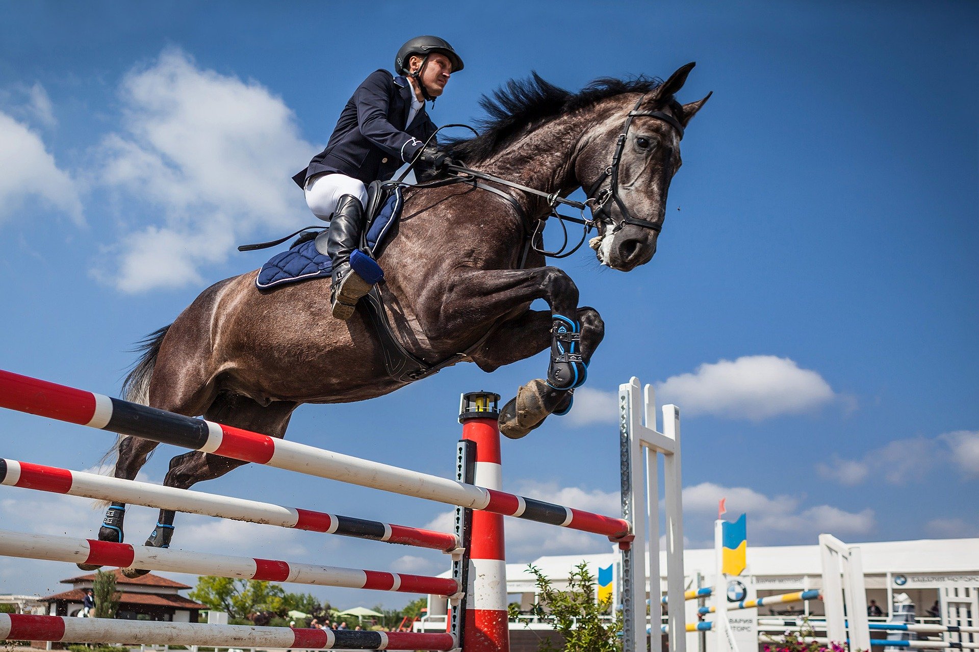International show jumping competitions