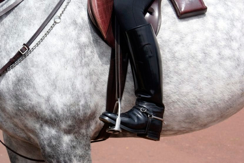 Horse Riding Equipment for Show Jumping