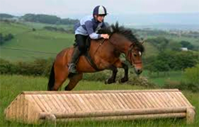 Show Jumping - Cross Country 2