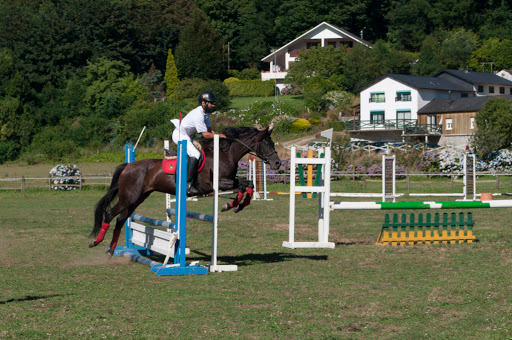 Show Jumping - Derby
