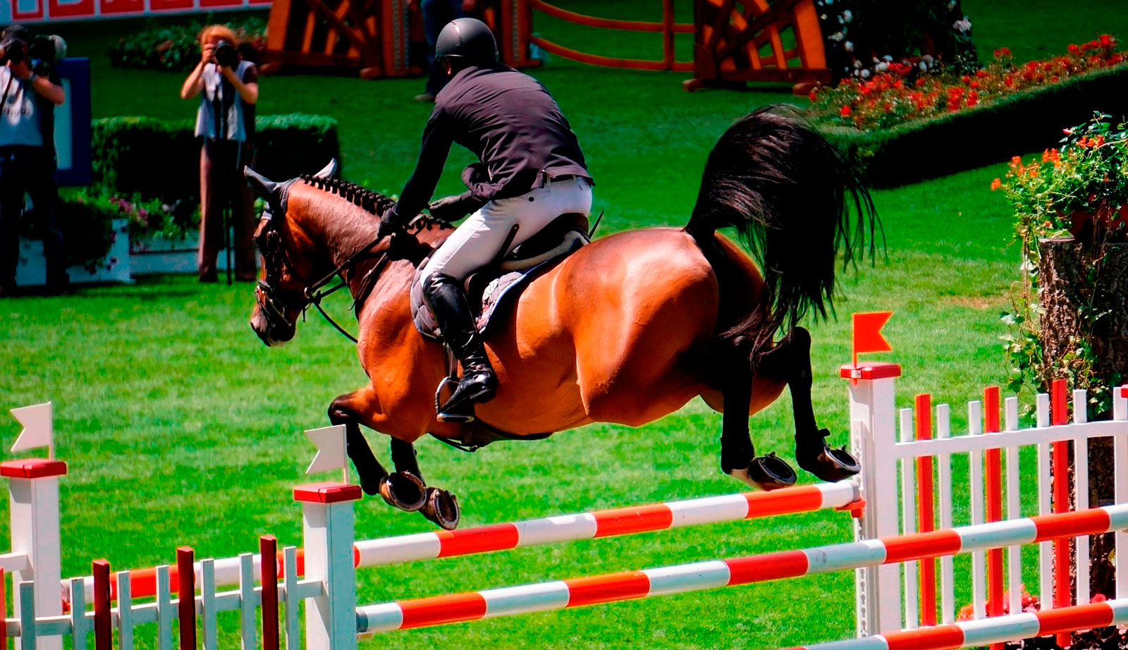 Show Jumping – Introduction, origin and rules