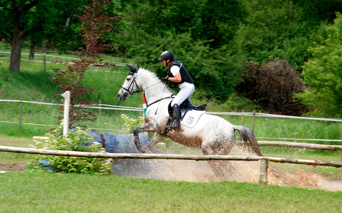Equitation cross-country : les équipements à prévoir pour protéger le  cavalier et son cheval