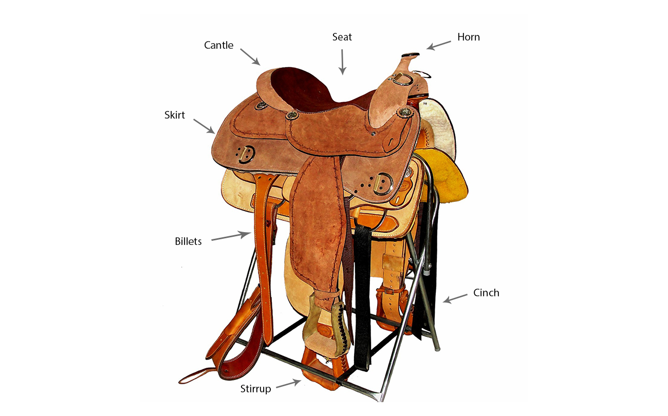 Parts of a horse saddle