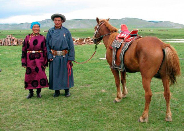 Equitorus - Mongolei