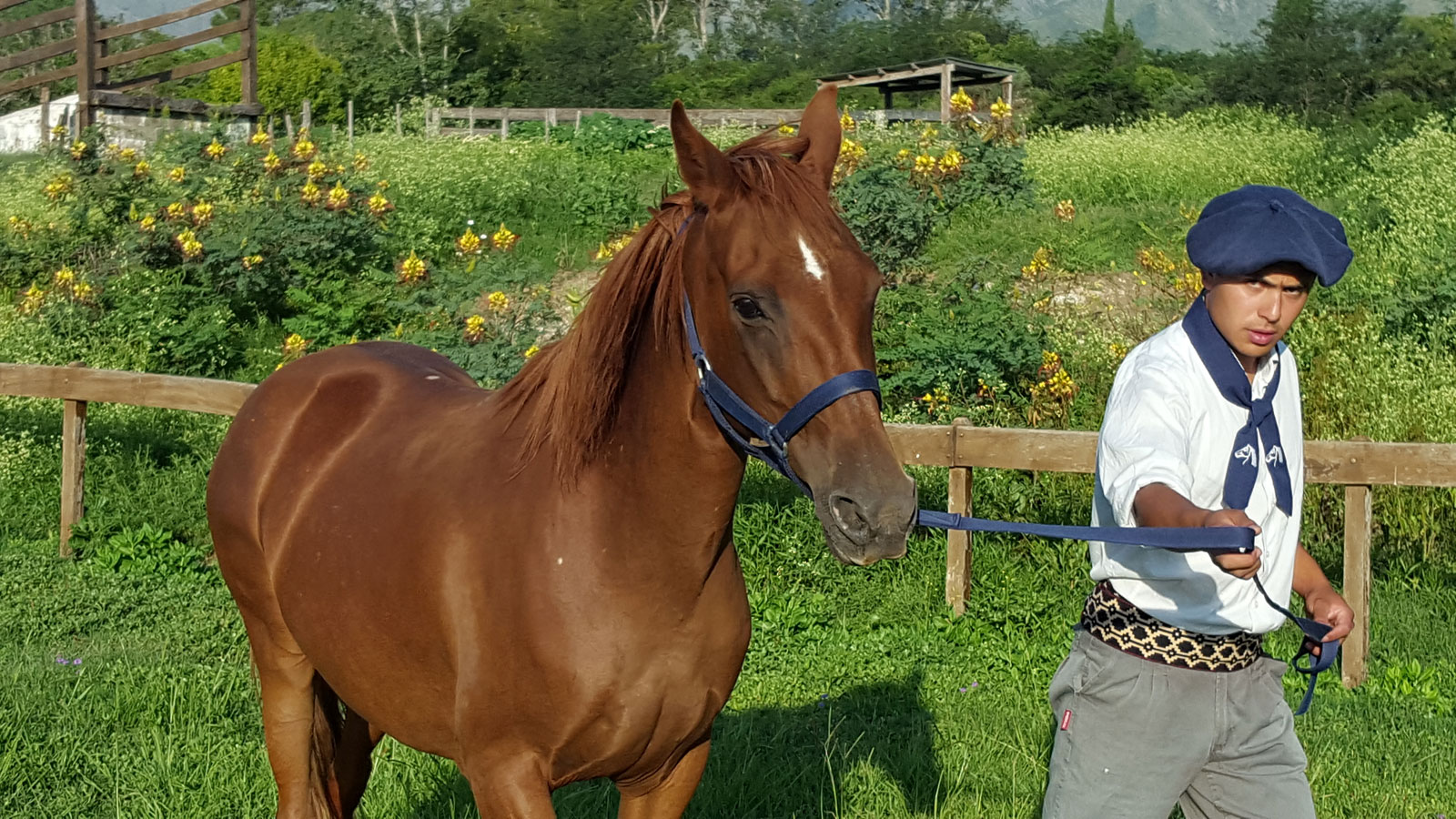 Reiten Lernen Teil I Ampascachi