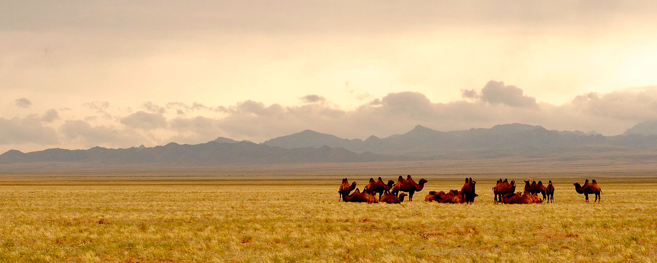 Paisaje Mongolia