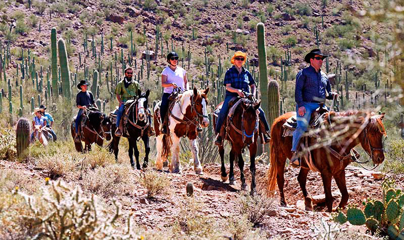 Mountain Rides - White Stallion Ranch