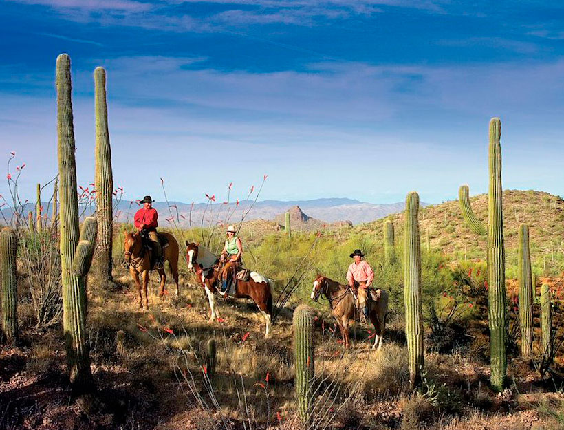 Excursions d'une journée - Rancho los Caballeros