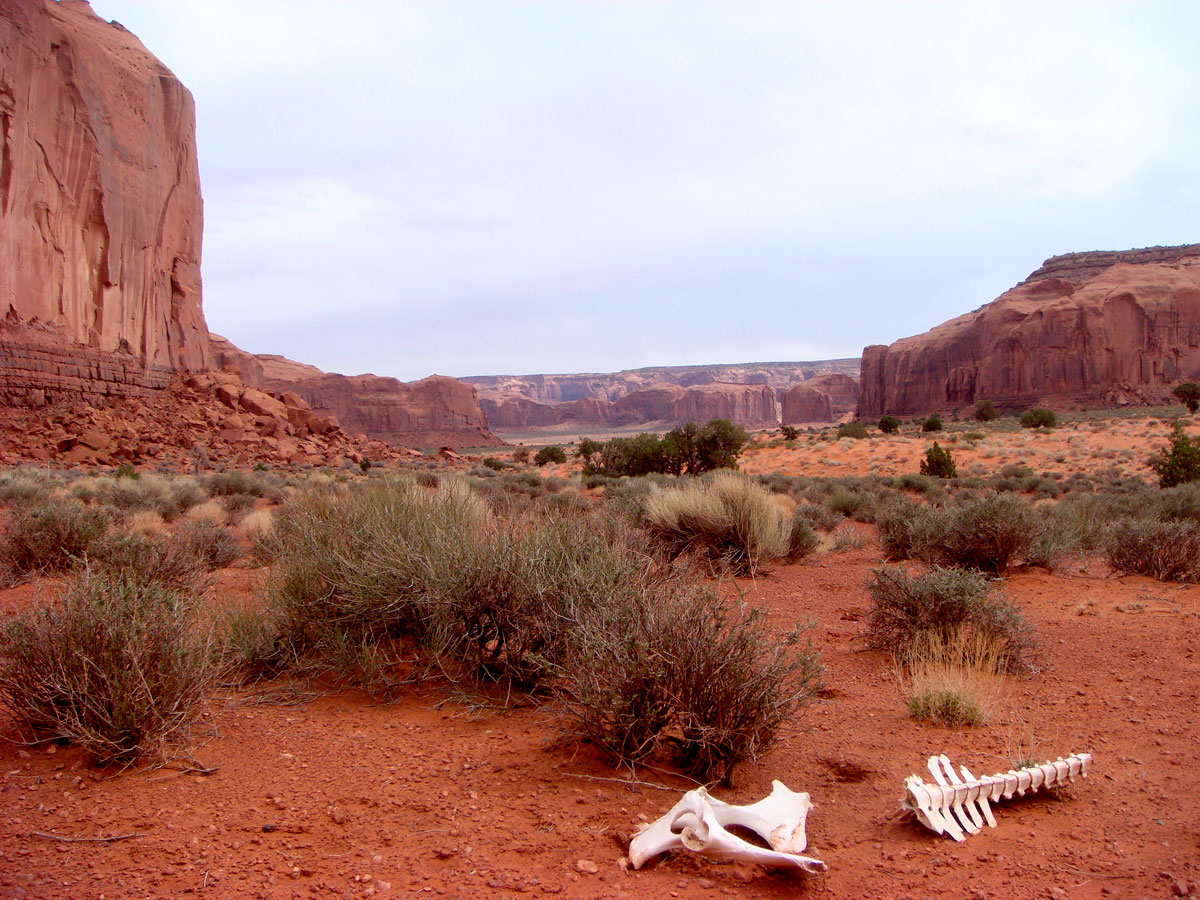 Skeleton Canyon - Arizona