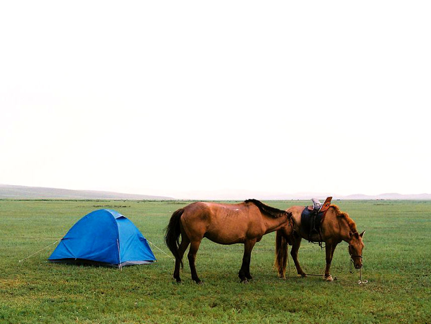 Stepperiders - Reiten in der Mongolei