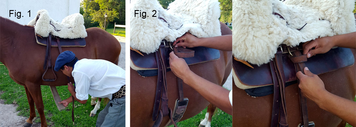 The saddle - Placement process
