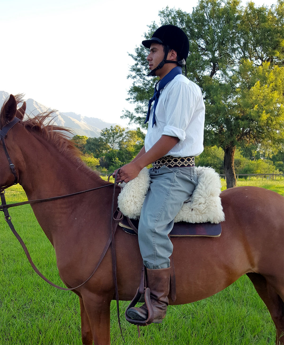Sitting on the saddle - Correct position
