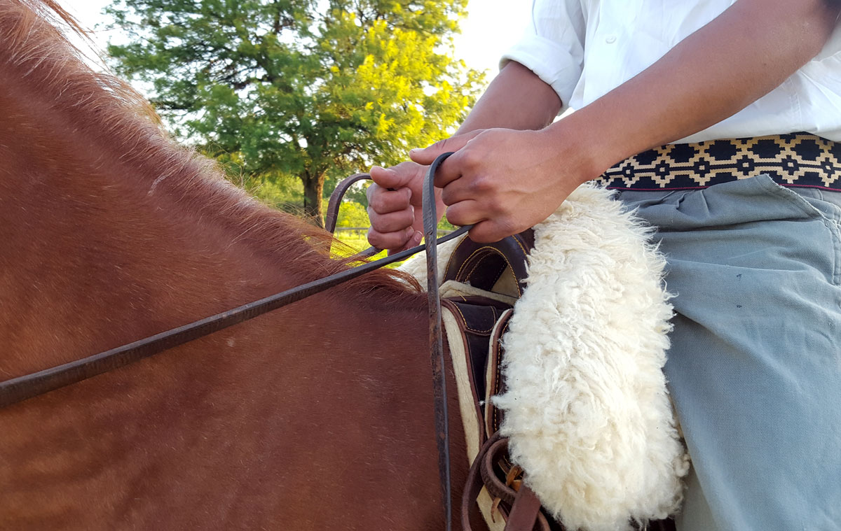 Sentarse en el caballo - Posición de las riendas