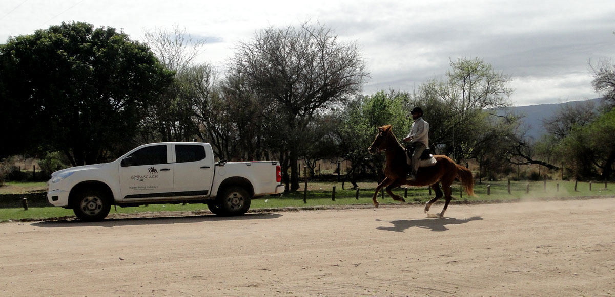 Galloping horse