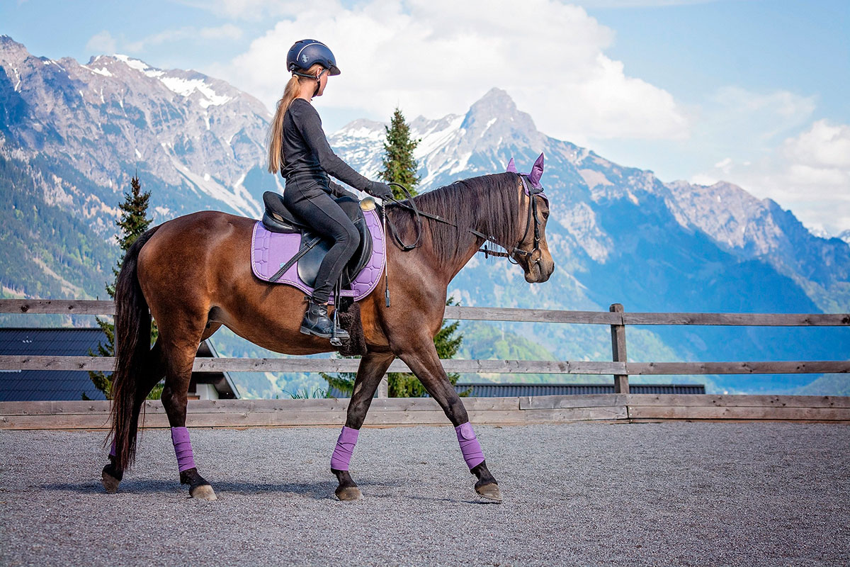 Posture on the horse