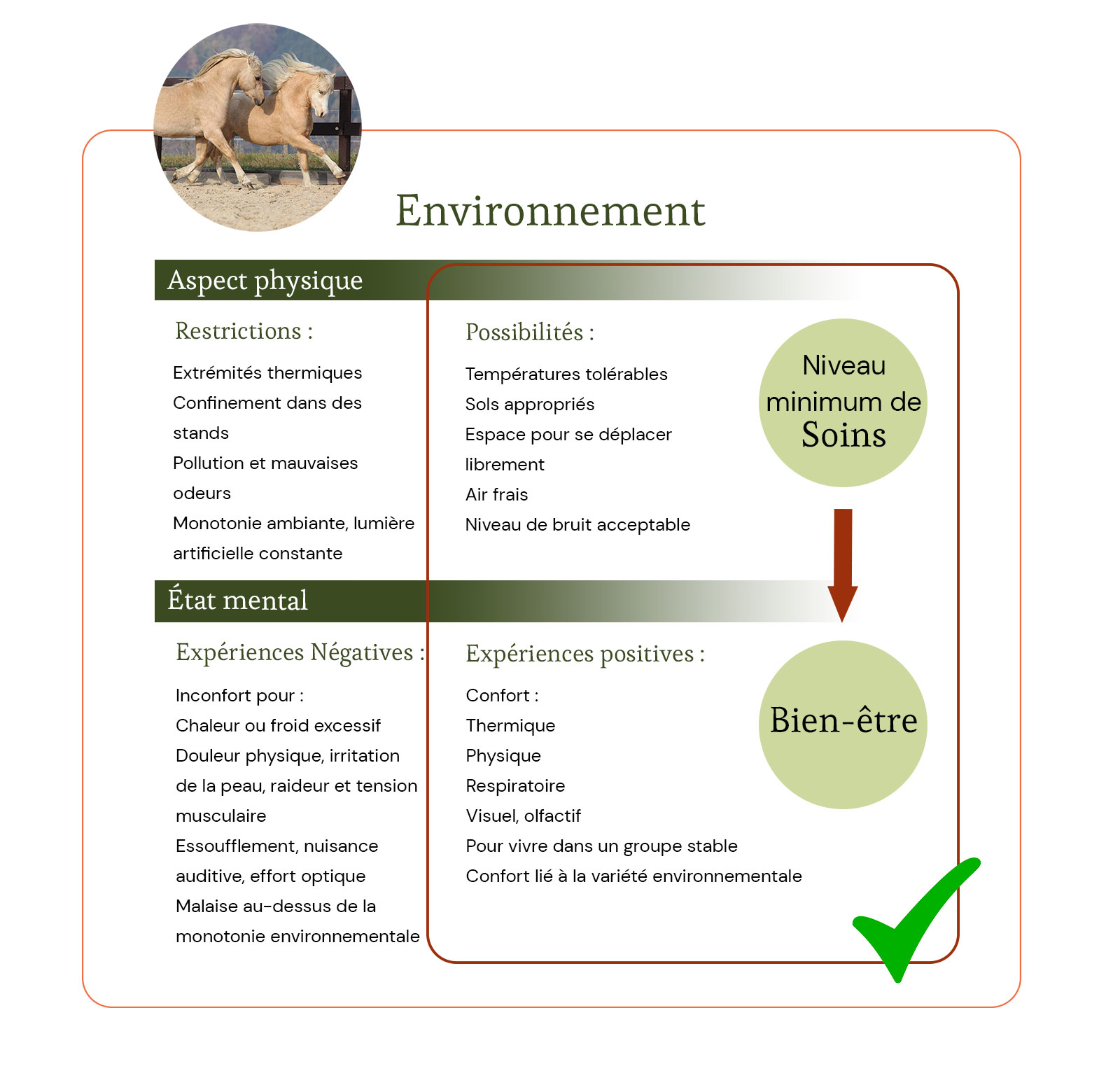 Environnement