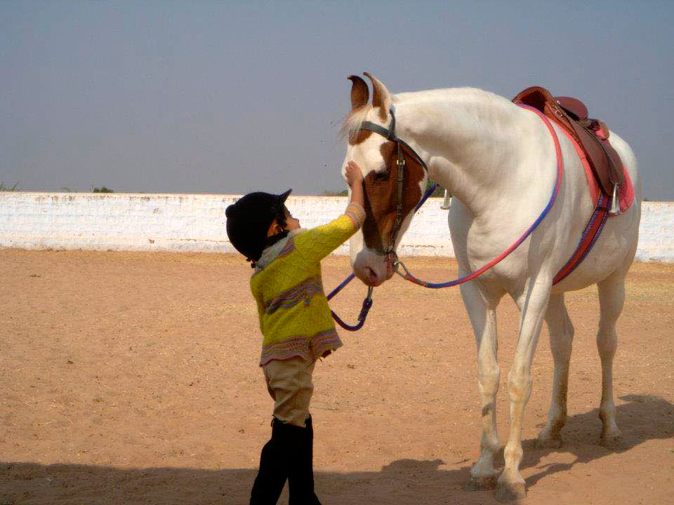 niño con un caballo Marwari
